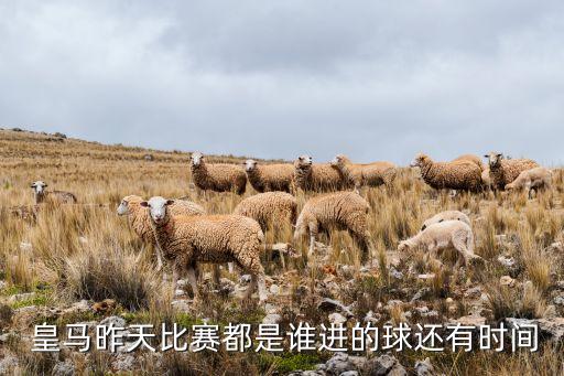  皇馬昨天比賽都是誰進的球還有時間