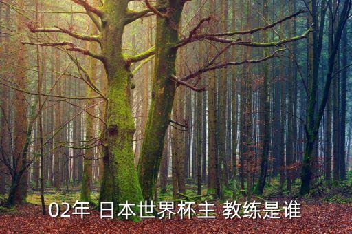 02年 日本世界杯主 教練是誰