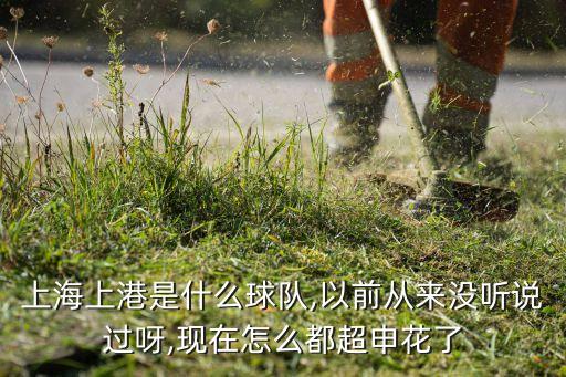 上海上港是什么球隊,以前從來沒聽說過呀,現(xiàn)在怎么都超申花了