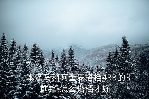 足球3前鋒原則誰(shuí),[足球]完美前鋒 NINA耶