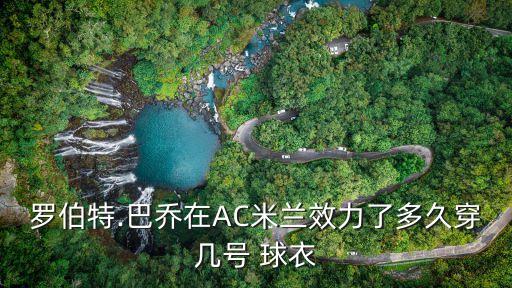 羅伯特.巴喬在AC米蘭效力了多久穿幾號(hào) 球衣
