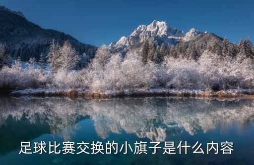 國(guó)家隊(duì)足球隊(duì)隊(duì)旗,阿根廷足球隊(duì)隊(duì)旗圖片