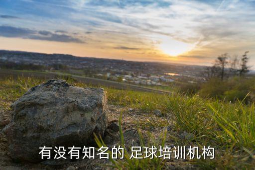 有沒有知名的 足球培訓機構(gòu)