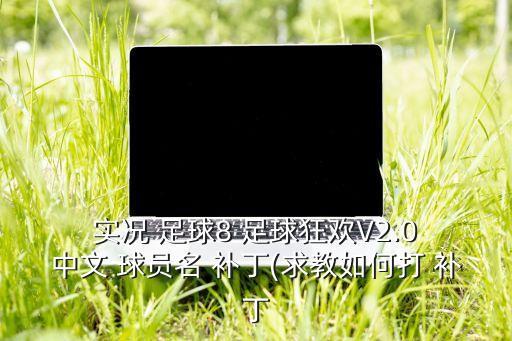 實況足球8球員名中文補(bǔ)丁