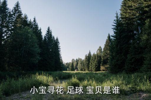 小寶尋花 足球 寶貝是誰