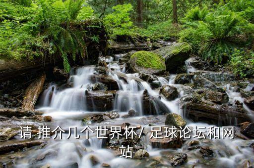 請 推介幾個世界杯/ 足球論壇和網(wǎng)站
