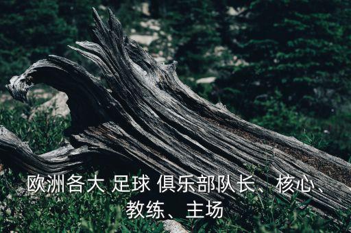 歐洲各大 足球 俱樂(lè )部隊長(cháng)、核心、教練、主場(chǎng)