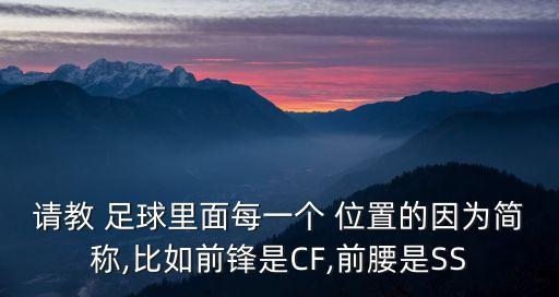 請教 足球里面每一個 位置的因為簡稱,比如前鋒是CF,前腰是SS