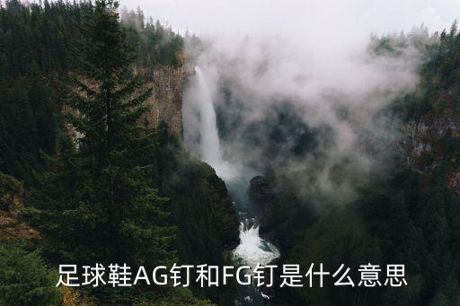  足球鞋AG釘和FG釘是什么意思