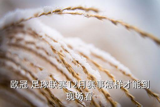 12月12日   足球