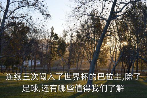 連續(xù)三次闖入了世界杯的巴拉圭,除了足球,還有哪些值得我們了解