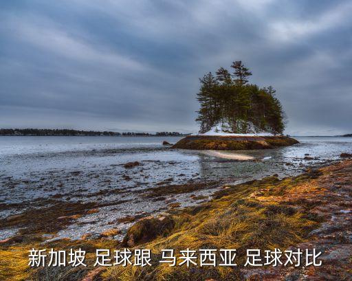 新加坡 足球跟 馬來(lái)西亞 足球?qū)Ρ? class=