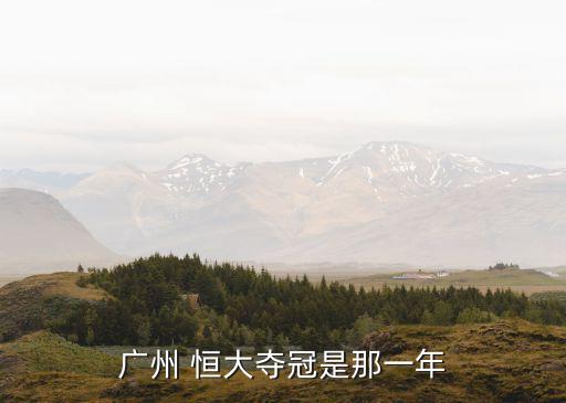 廣州 恒大奪冠是那一年
