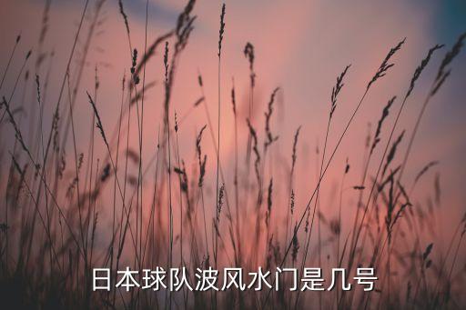 日本球隊波風水門是幾號