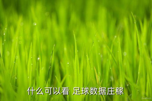 足球電競半決賽回放,足球世俱杯半決賽回放