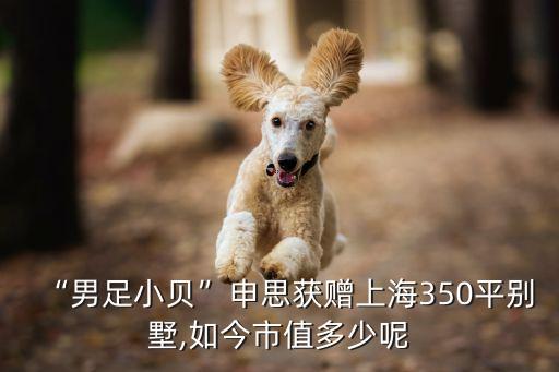 李曉明 足球 深圳,足球李曉明在哪里
