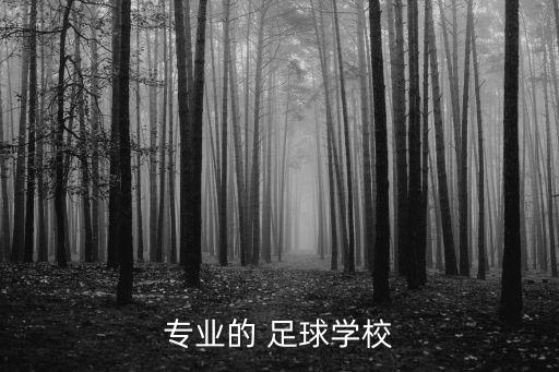 專業(yè)的 足球?qū)W校