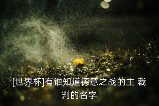 中國足球裁判李海新,裁判李海新是哪里人