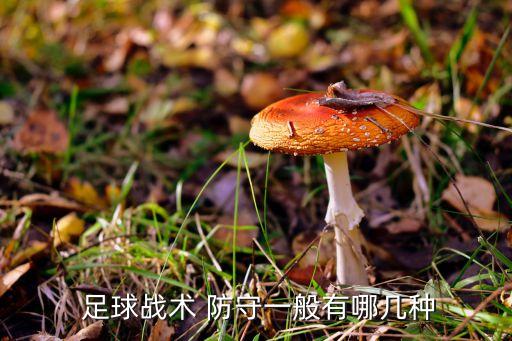 足球整體防守