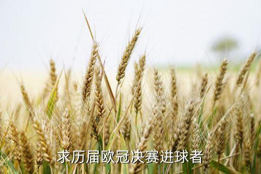 求歷屆歐冠決賽進(jìn)球者