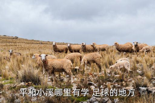 平和小溪哪里有學(xué) 足球的地方