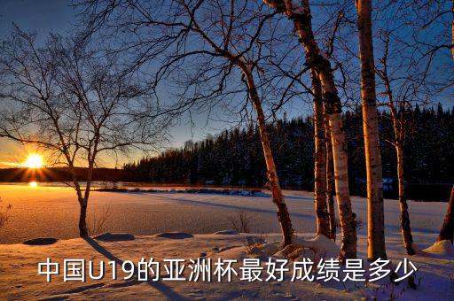 世界青年足球錦標(biāo)賽u19