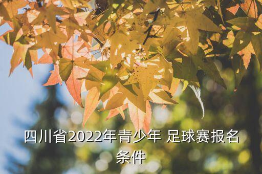 少兒足球比賽怎么注冊,蘭州市少兒足球比賽