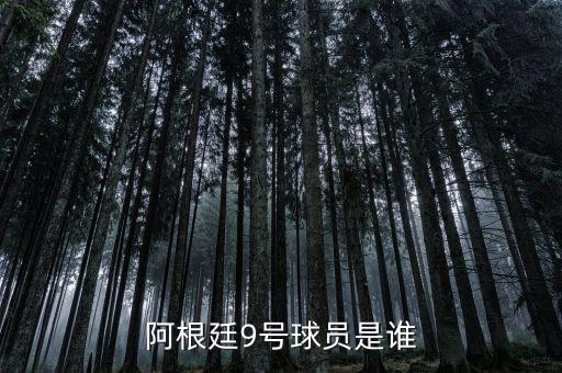 足球場上9號(hào)