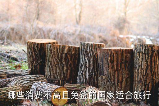 泰國vs印度尼西亞足球賽果,印度尼西亞vs泰國足球直播
