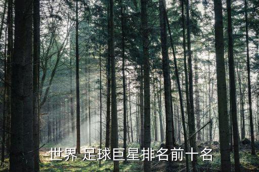 當(dāng)今世界足球明星,世界足球明星十大排名