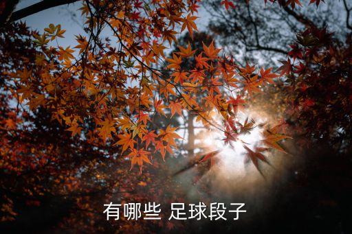 傀儡足球2016西甲