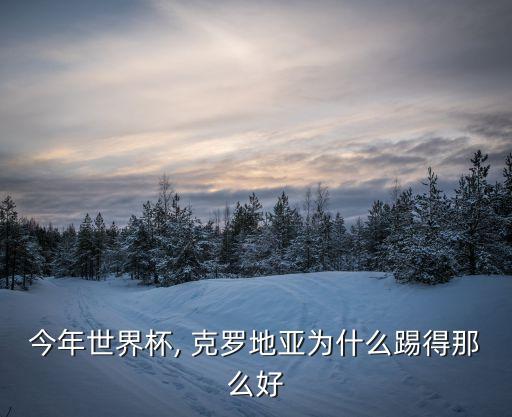克羅地亞足球元素,加拿大和克羅地亞足球誰(shuí)厲害