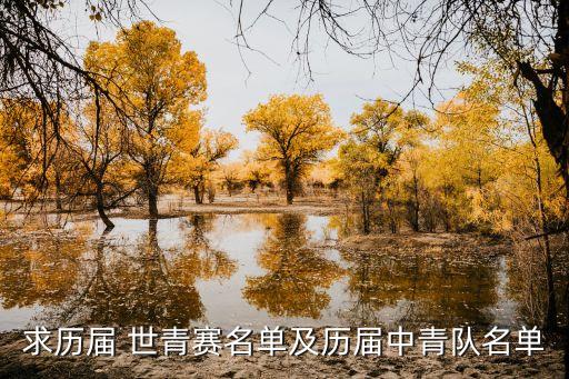 求歷屆 世青賽名單及歷屆中青隊名單