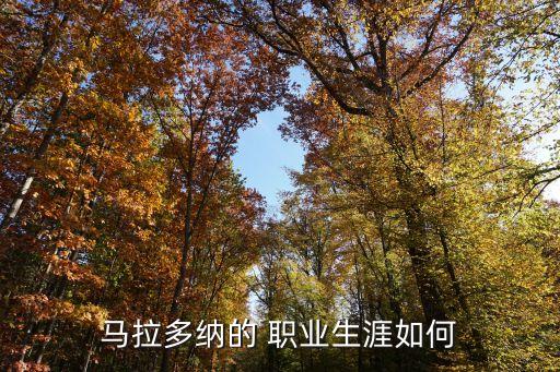 2017美職業(yè)足球,美職業(yè)足球季后賽規(guī)則