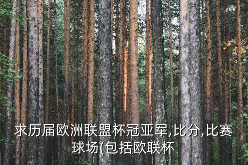 巴倫西亞對(duì)凱爾特人足球歡呼吧