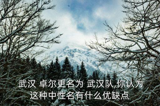  武漢 卓爾更名為 武漢隊,你認(rèn)為這種中性名有什么優(yōu)缺點