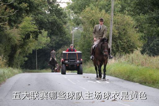 五大聯(lián)賽哪些球隊主場球衣是黃色