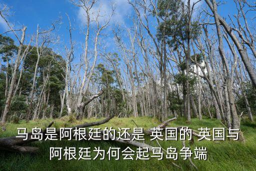 馬島是阿根廷的還是 英國(guó)的 英國(guó)與阿根廷為何會(huì)起馬島爭(zhēng)端