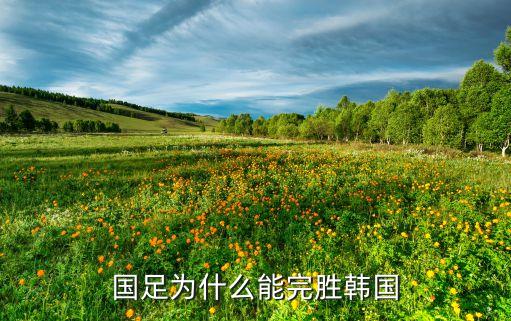 國(guó)足為什么能完勝韓國(guó)