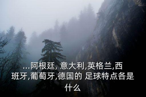 ...阿根廷, 意大利,英格蘭,西班牙,葡萄牙,德國(guó)的 足球特點(diǎn)各是什么