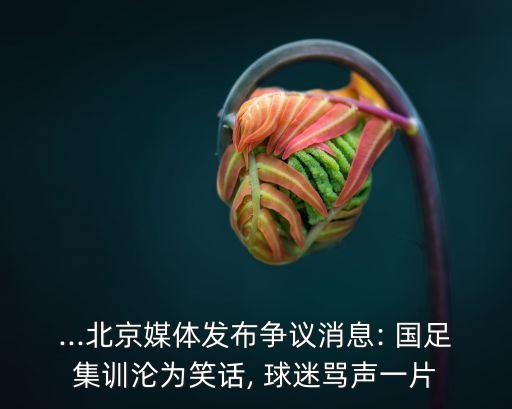 ...北京媒體發(fā)布爭議消息: 國足集訓(xùn)淪為笑話, 球迷罵聲一片