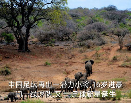 足球年齡最小的,以下哪位足球運動(dòng)員年齡最小