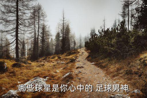 哪些球星是你心中的 足球男神