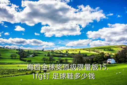 ... 梅西金球獎(jiǎng)頂級(jí)限量版15.1fg釘 足球鞋多少錢