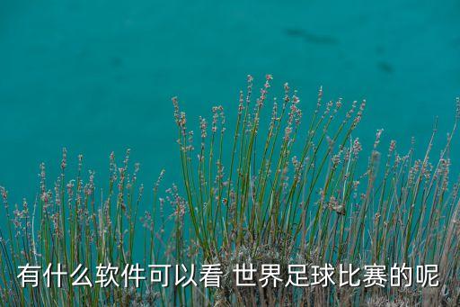 有什么軟件可以看 世界足球比賽的呢