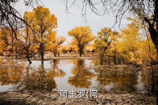 阿圭羅(阿
