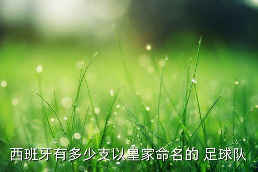 西班牙有多少支以皇家命名的 足球隊