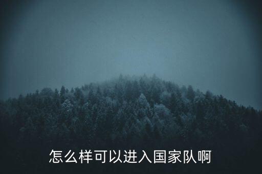 寧夏足球隊