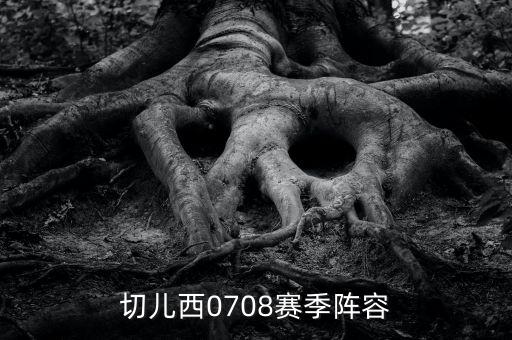 切兒西0708賽季陣容