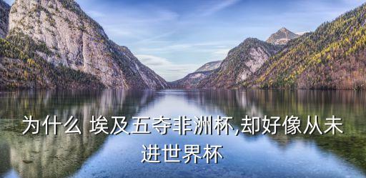 為什么 埃及五奪非洲杯,卻好像從未進世界杯